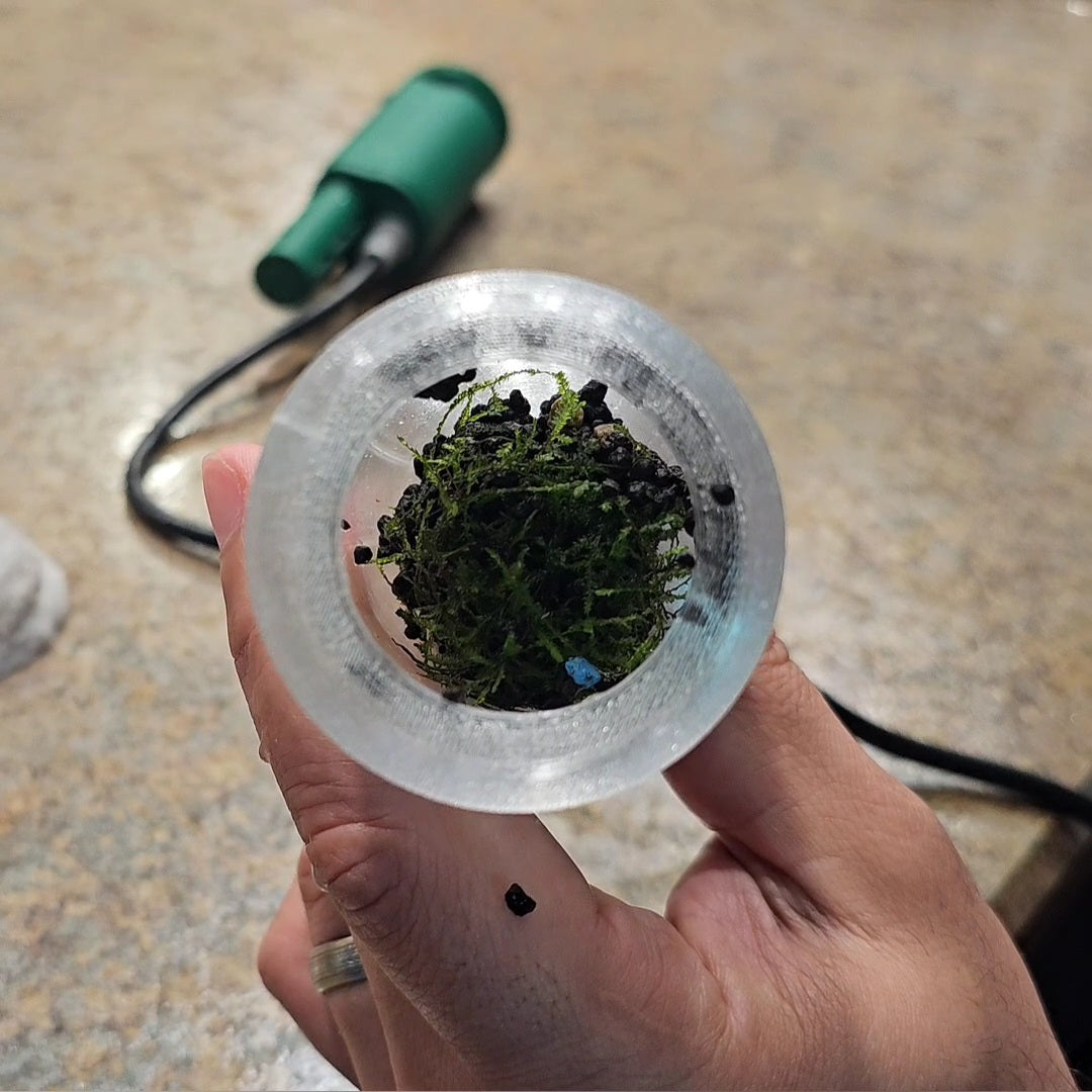 Aquarium Spot Vacuum