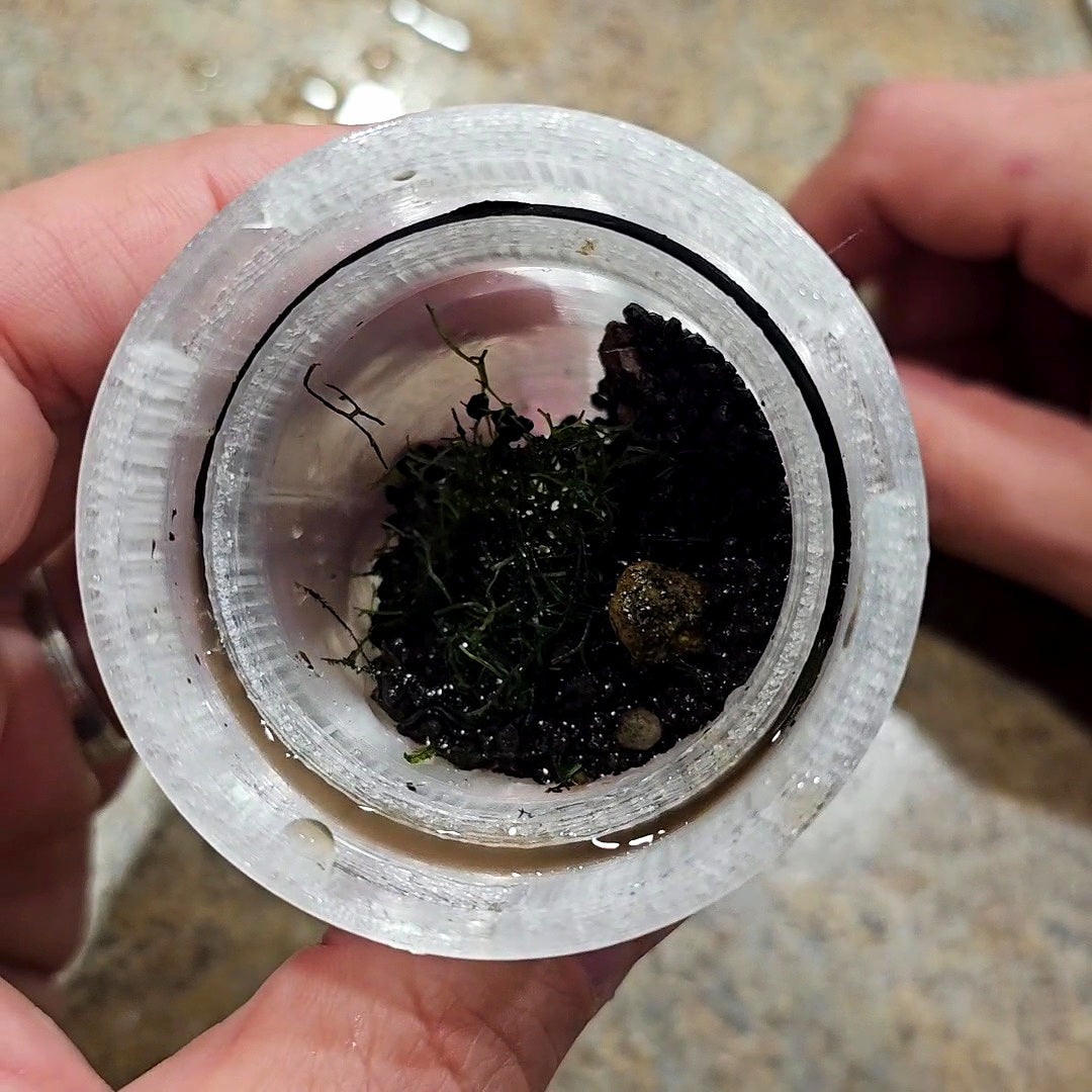 Aquarium Spot Vacuum